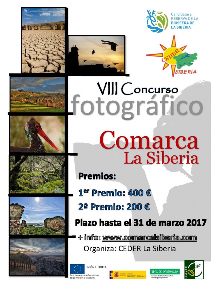 2017-03-02-DIA DE LA COMARCA-Cartel fotografia 2017