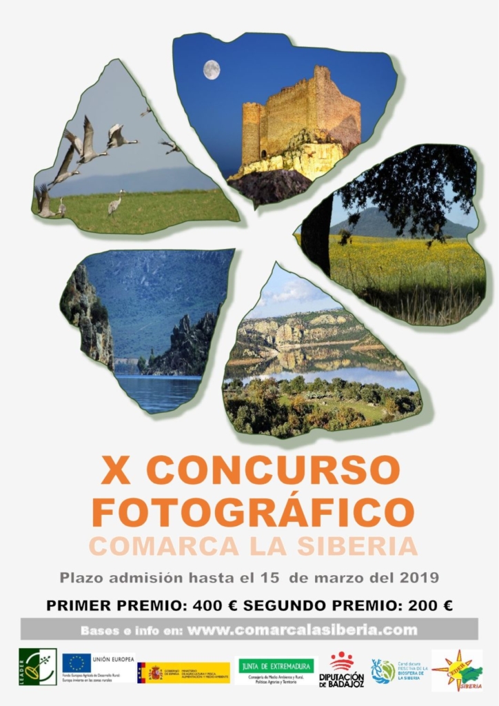 CARTEL CONCURSO FOTOGRÁFICO 2019-001 (1)